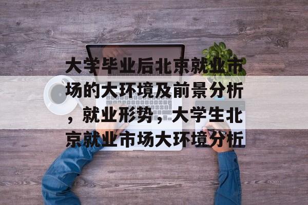 大学毕业后北京就业市场的大环境及前景分析，就业形势，大学生北京就业市场大环境分析