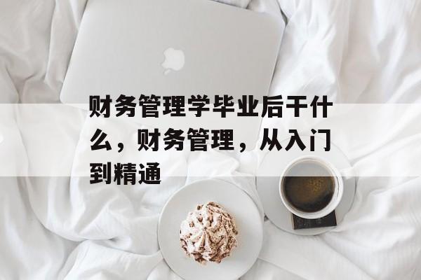 财务管理学毕业后干什么，财务管理，从入门到精通