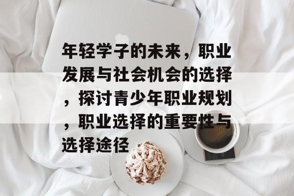年轻学子的未来,职业发展与社会机会的选择,探讨青少年职业规划,职业选择的重要性与选择途径 年轻学子的未来,职业发展与社会机会的选择,探讨青少年职业规划,职业选择的重要性与选择途径