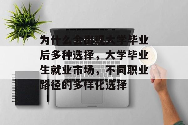 为什么会出现大学毕业后多种选择，大学毕业生就业市场，不同职业路径的多样化选择
