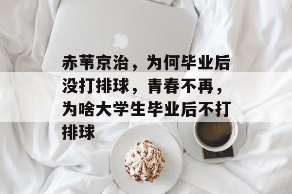 赤苇京治，为何毕业后没打排球，青春不再，为啥大学生毕业后不打排球