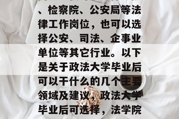 政法大学毕业后,年轻人可以选择多种就业方向。不仅可以选择法院、检察院、公安局等法律工作岗位，也可以选择公安、司法、企事业单位等其它行业。以下是关于政法大学毕业后可以干什么的几个主要领域及建议，政法大学毕业后可选择，法学院系-法官、检察官；公安局系-警察；企事业单位系-企管助理