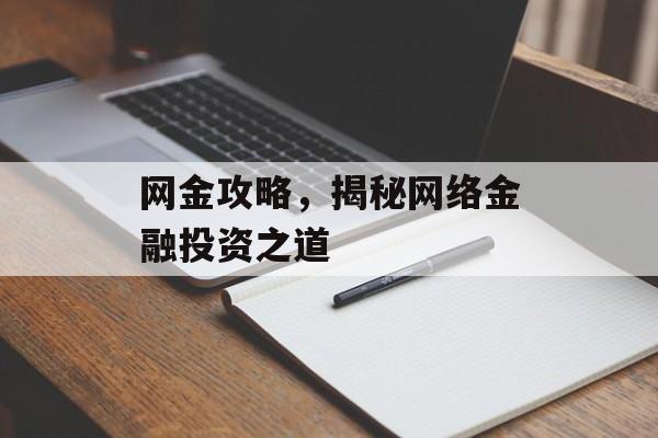 网金攻略,揭秘网络金融投资之道 网金攻略,揭秘网络金融投资之道