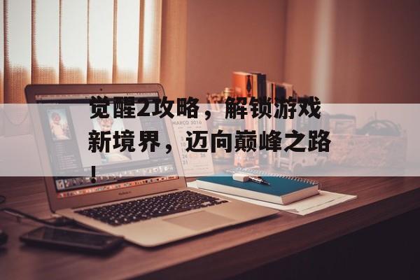 觉醒2攻略，解锁游戏新境界，迈向巅峰之路！