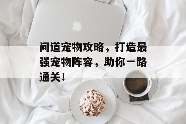 问道宠物攻略,打造最强宠物阵容,助你一路通关! 问道宠物攻略,打造最强宠物阵容,助你一路通关!