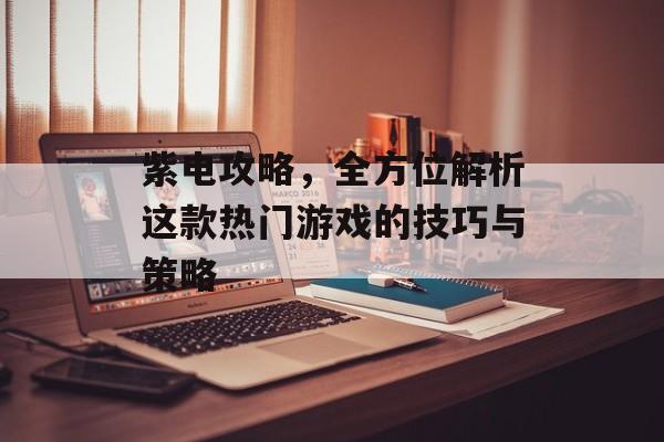紫电攻略，全方位解析这款热门游戏的技巧与策略