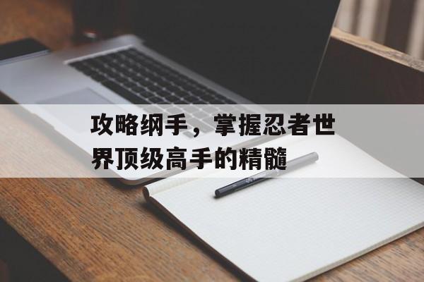 攻略纲手，掌握忍者世界顶级高手的精髓