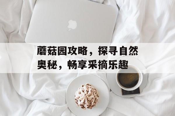 蘑菇园攻略，探寻自然奥秘，畅享采摘乐趣
