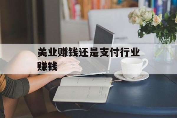 美业赚钱还是支付行业赚钱
