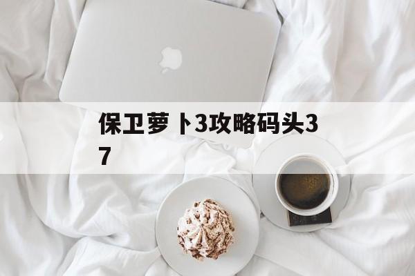 保卫萝卜3攻略码头37